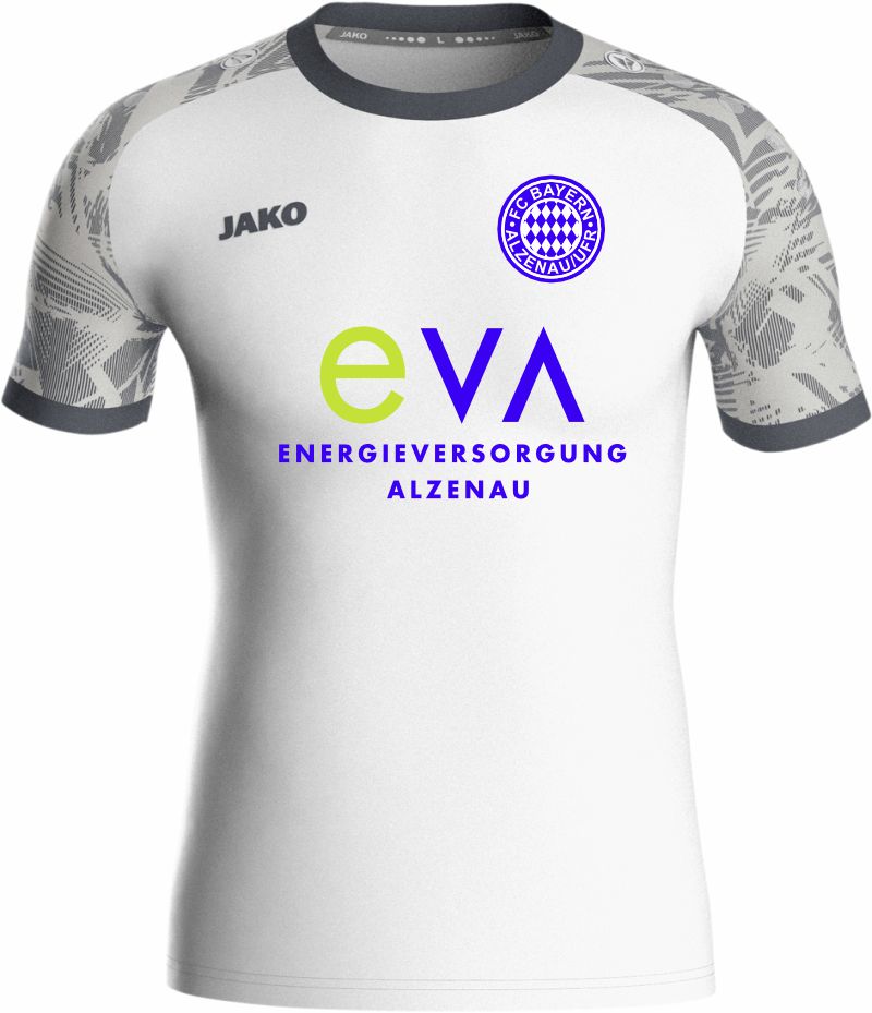 Trikot Iconic FC BAYERN ALZENAU 24-25 Away